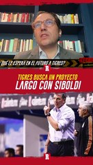 TIGRES busca un PROYECTO a LARGO plazo con SIBOLDI