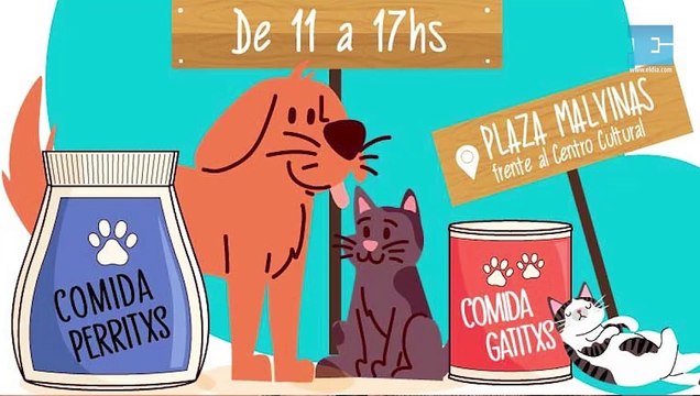Colecta de Alimentos para perros y gatos rescatados