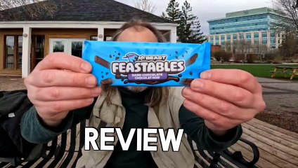 Mr Beast Dark Chocolate Bar Review