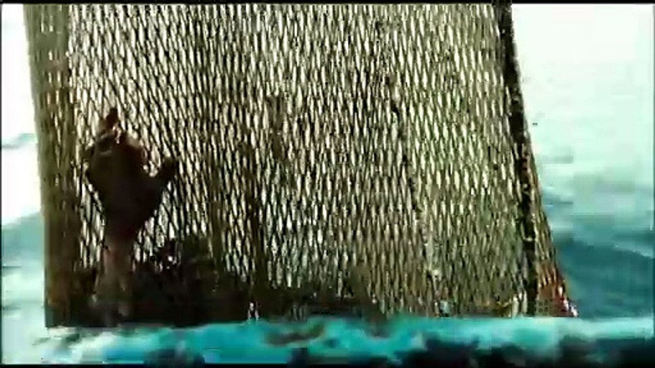 Ondine Bande-annonce (ES)