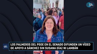 Los palmeros del PSOE en el Senado difunden un vídeo de apoyo a Sánchez sin Susana Díaz ni Lambán