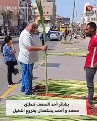 بشائر أحد السعف تنطلق.. محمد و أحمد يستعدان بفروع النخيل