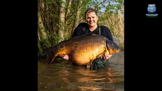 ONE of the biggest carp in Britain has been caught by a female angler who spent 48 hours patiently stalking it
