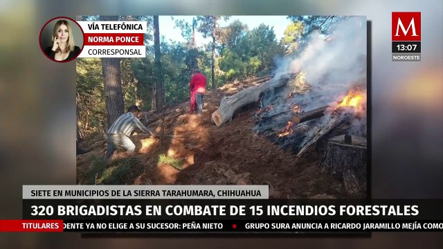 En Chihuahua, participan 320 brigadistas en combate de 15 incendios forestales