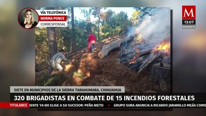 Télécharger la video: En Chihuahua, participan 320 brigadistas en combate de 15 incendios forestales