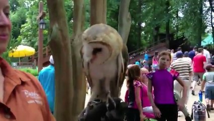 Busch Gardens With Krystle (July 12, 2014)