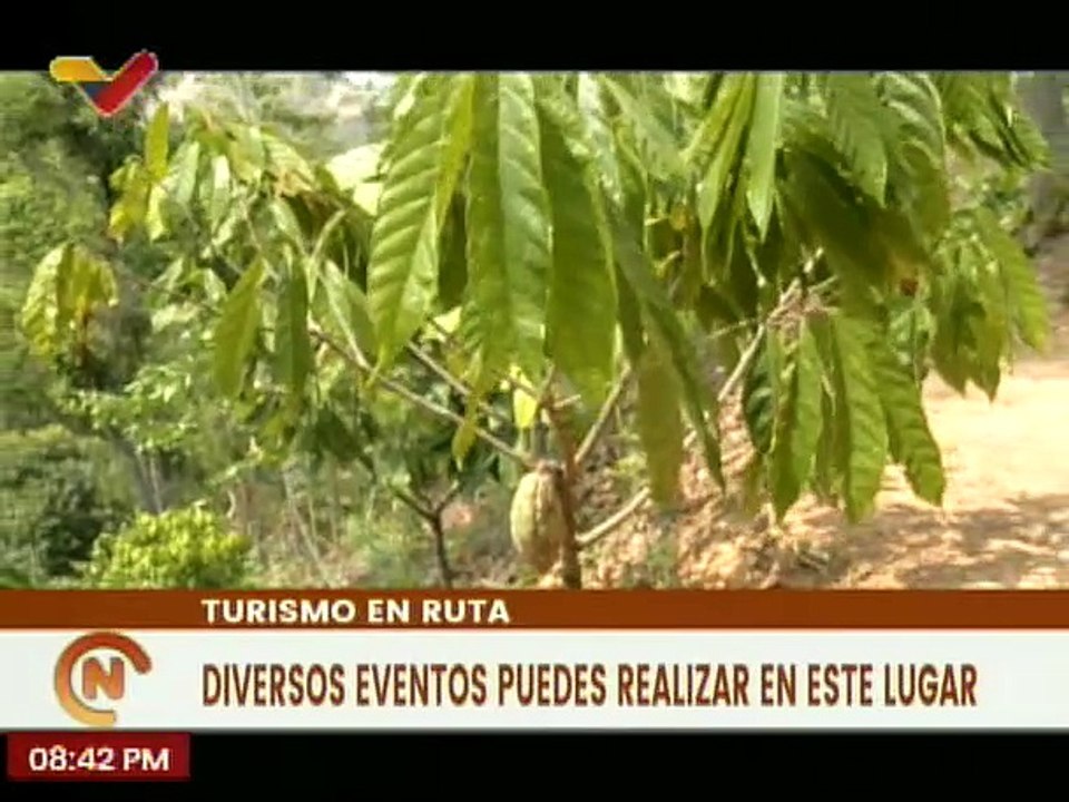 Especial | Casa Samambaya un destino ideal para conectar con la naturaleza