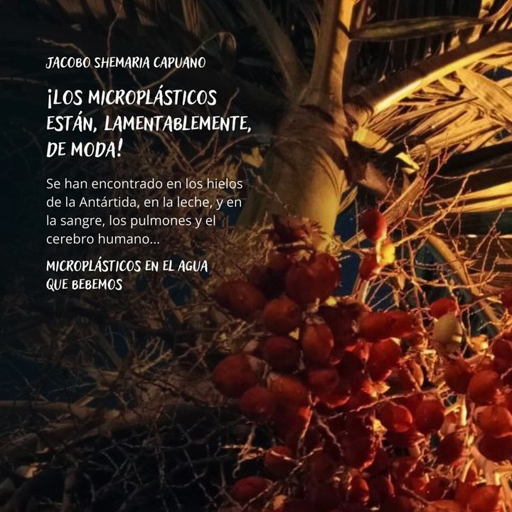 -Jacobo Shemaria Capuano- Microplásticos en el agua que bebemos: (Parte 1) (Creado por @JacoboShemariaCapuano)