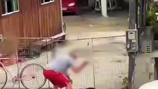 Vídeo flagra dono espancando dog em frente de casa