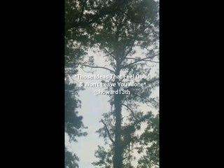 "Those Ideas That Feel Good & Won't Leave You Alone" 04/26/2024