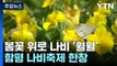 주말 초여름 더위...함평 나비 축제 한창 / YTN