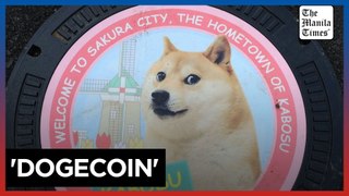Rescue pup to meme star: the real-life 'Dogecoin' dog