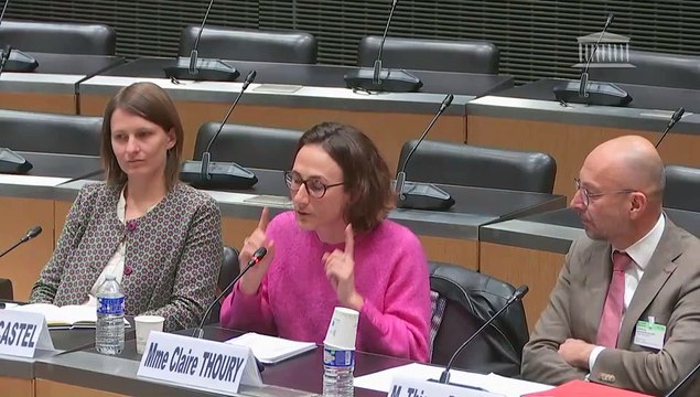 Accompagnement des malades et fin de vie : Audition de représentants du Conseil économique, social et environnemental, et de la Convention citoyenne - Vendredi 26 avril 2024