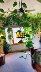 9 MYTHES POPULAIRES EP 8 !