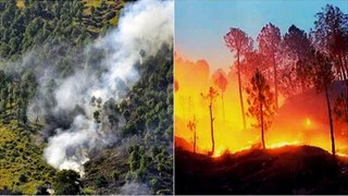 Forest Fire: क्यों धधक रहे हैं उत्तराखंड के जंगल? नैनीताल की कॉलोनी तक पहुंची आग,बुझाने में लगी सेना