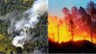 Forest Fire: क्यों धधक रहे हैं उत्तराखंड के जंगल? नैनीताल की कॉलोनी तक पहुंची आग,बुझाने में लगी सेना