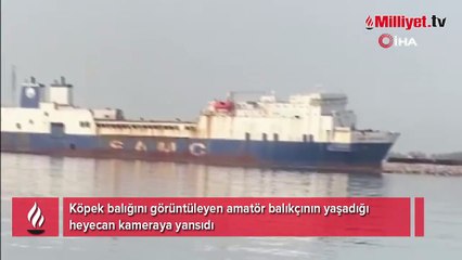 Köpek balığını görüntüleyen amatör balıkçının yaşadığı heyecan kameraya yansıdı