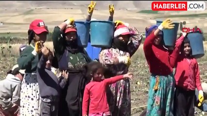 Mevsimlik tarım işçilerine gece yolculuğu ve eğitim düzenlemesi