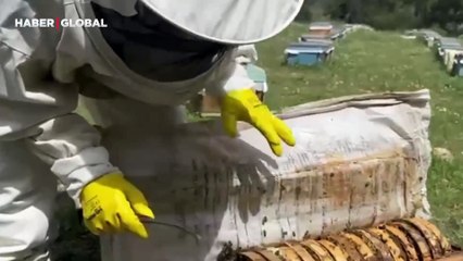 Kadıköy'de seçimleri kazanamayan Fatih Mehmet Maçoğlu'nun yeni mesleği belli oldu