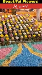 Beautiful Flowers l Imran Zaman