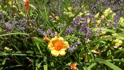 Exploring Einstein: Life of a Genius (2005)