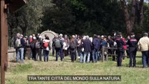 City nature challenge, alla ricerca di biodiversità nella Tenuta presidenziale di Castelporziano