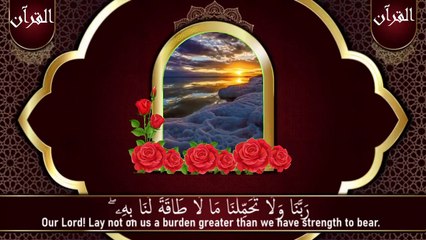 أدعية التحصين والرقية الشرعيةDuaa Tahseen -by Sheikh Abdullah Abdul Masjid e Madinah n