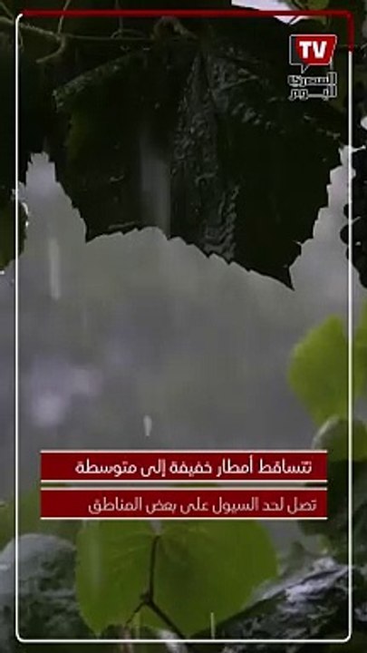 تصل إلى حد السيول.. الأرصاد تكشف توقعات حالة الطقس اليوم السبت بالقاهرة والمحافظات