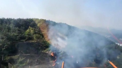 부산 반송동 야산에서 불...5천㎡ 소실 추정 / YTN