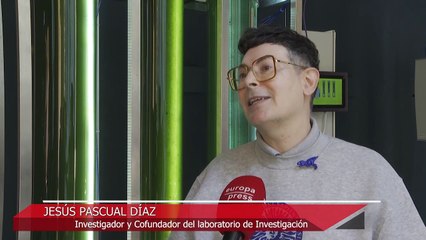 Una muestra viva une arte y ciencia para conocer 'La vida secreta de las micro-algas'