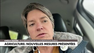 Crise agricole : pour Amélie Rebière, «les normes et l’administration tuent les agriculteurs»