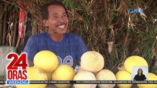 Tone-toneladang melon, naani sa isang taniman sa Taguig | 24 Oras Weekend