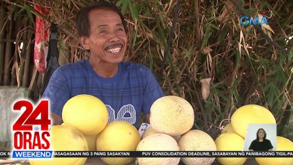Tone-toneladang melon, naani sa isang taniman sa Taguig | 24 Oras Weekend