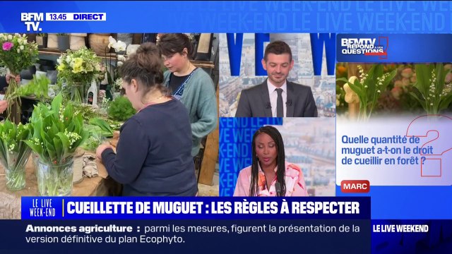 Quelle quantité de muguet a-t-on le droit de cueillir en forêt? BFMTV répond à vos questions