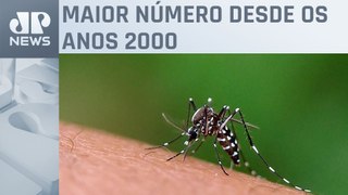 Brasil registra quase 3,9 milhões de prováveis casos de dengue
