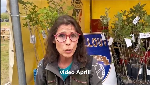 Fiera del Madonnino e Game Fair, dal tartufo alle macchine agricole: festa per tutti i gusti