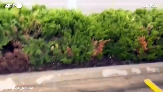 Stati Uniti, un tornado si abbatte sulla citta' di Lincoln