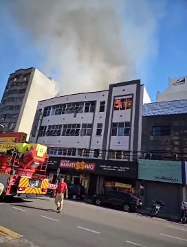 Gato sobrevive ao saltar da janela do 3º andar de hotel em chamas