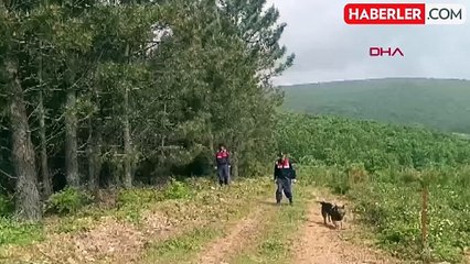 Ormanlık alanda bulunan kemik parçalarından alınan DNA, kayıp ekonomist Korhan Berzeg'in kızıyla eşleşti