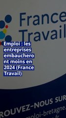 Emploi : les entreprises embaucheront moins en 2024 (France Travail)