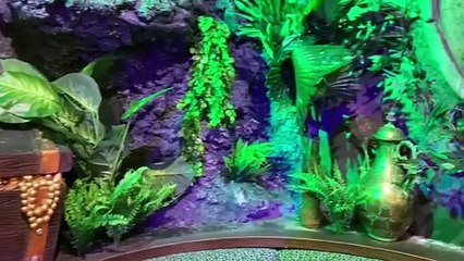 Rapscallions set to open in Port Solent