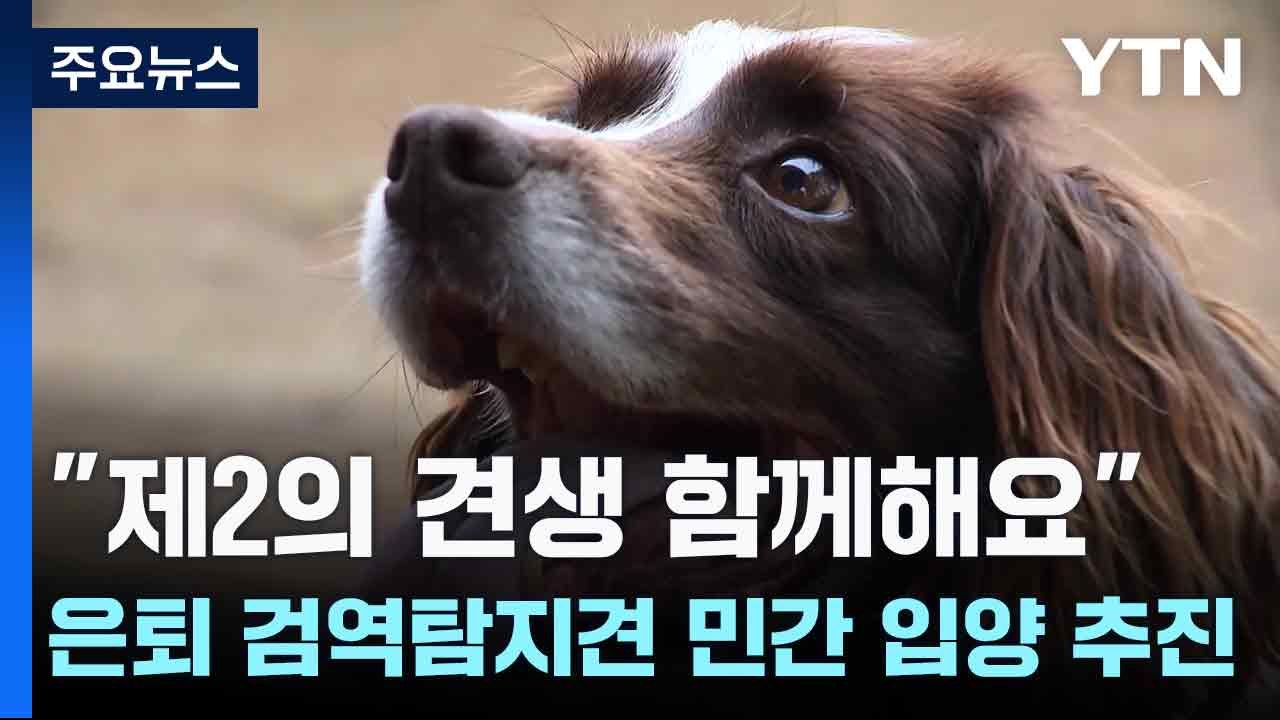 "제2의 견생 함께해요"...은퇴 검역탐지견 민간 입양 추진 / YTN