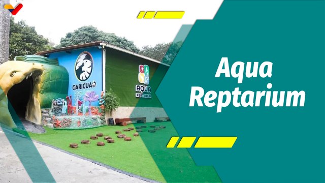 Punto Verde | El Aqua Reptarium del Zoológico Caricuao promueve la protección de los reptiles
