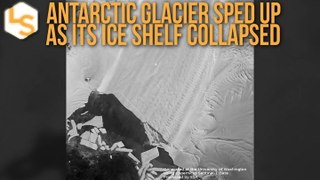 Antarctic Glacier Sped Up As Its Ice Shelf Collapsed
