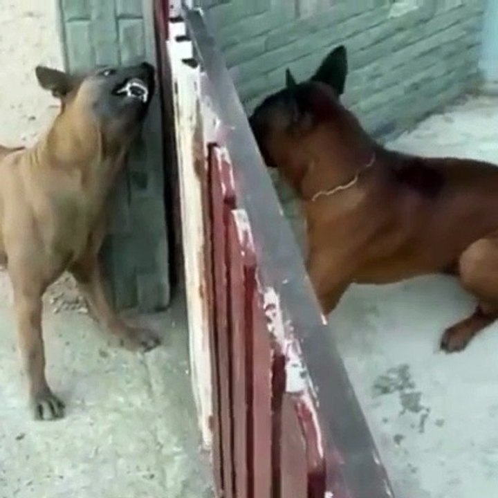 What dont kill you makes you stronger