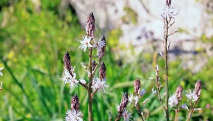 Otilia - Russian dream_ Otilia - Adelante (Bad Ninja Remix)(720P_HD)