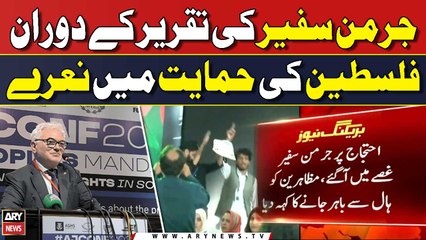 German ambassador ‘loses his cool’ over pro-Palestine protest