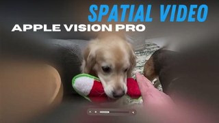 Apple Vision Pro: Spatial Video