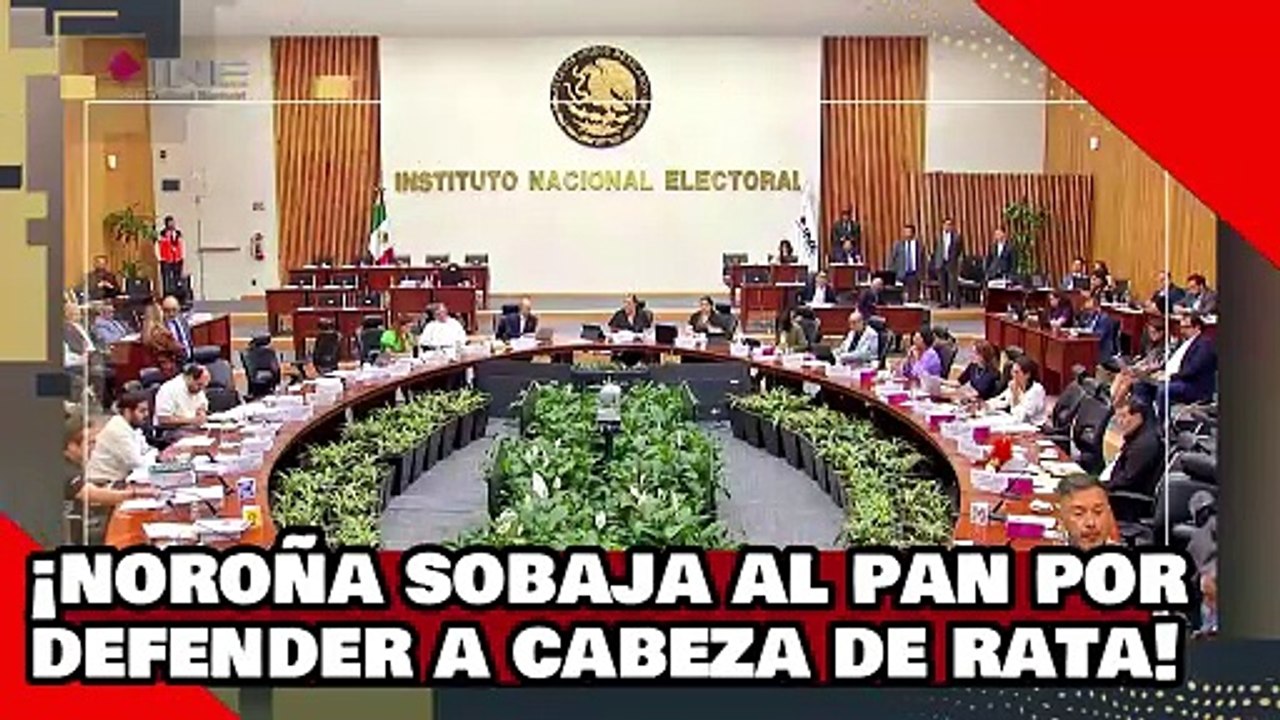 ¡VEAN! ¡el Dr. Noroña humilla a gato de Claudio X. González Por defender al hampón ‘cabeza de rata’!