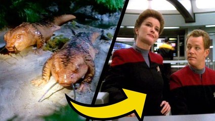 10 Greatest Unspoken Star Trek Plot Points